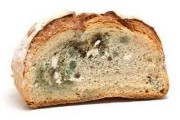 如何爆料发霉的食品视频,揭秘发霉食品的隐藏危机