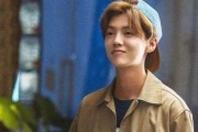 圈内人爆料鹿晗完整版,揭秘明星背后的真实故事