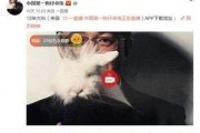 出轨事件爆料视频完整版,真相与情感纠葛全解析