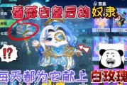 蔷薇白皇后爆料视频,揭秘娱乐圈幕后真相